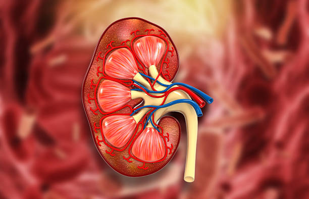 Best Urologist in South Delhi